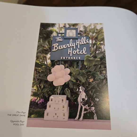 Gray Malin: Dogs: Photographs | EUC Coffee Table Book Canine Photography - Picture 7 of 12